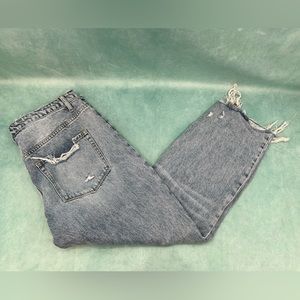 Vervet Distressed Denim 31